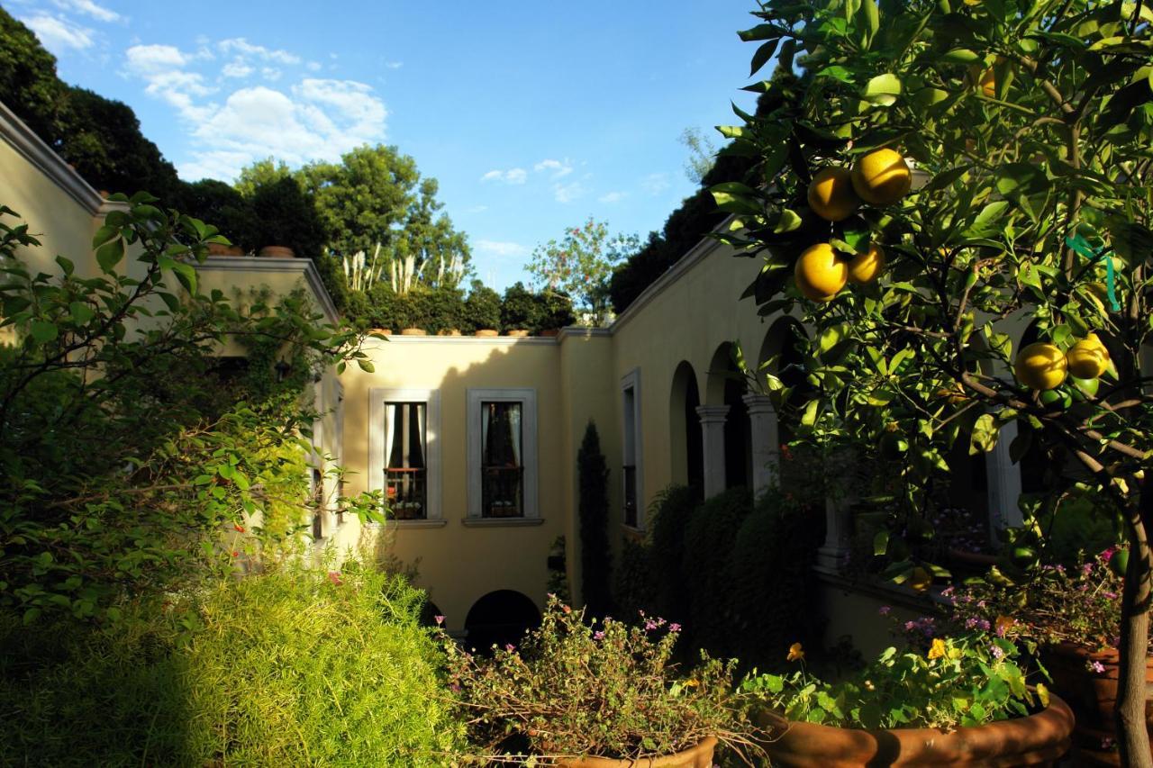 Casa Misha Hotel San Miguel de Allende Exterior photo